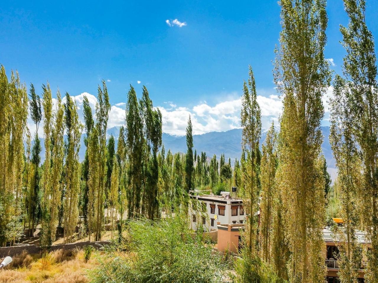 Hotel City Palace Leh Esterno foto