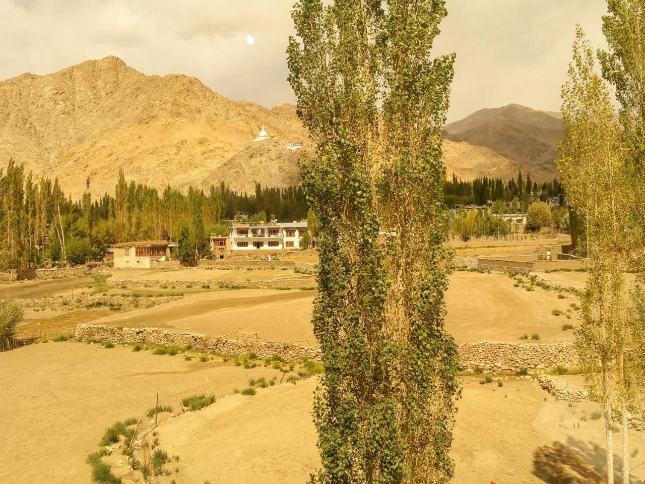 Hotel City Palace Leh Esterno foto